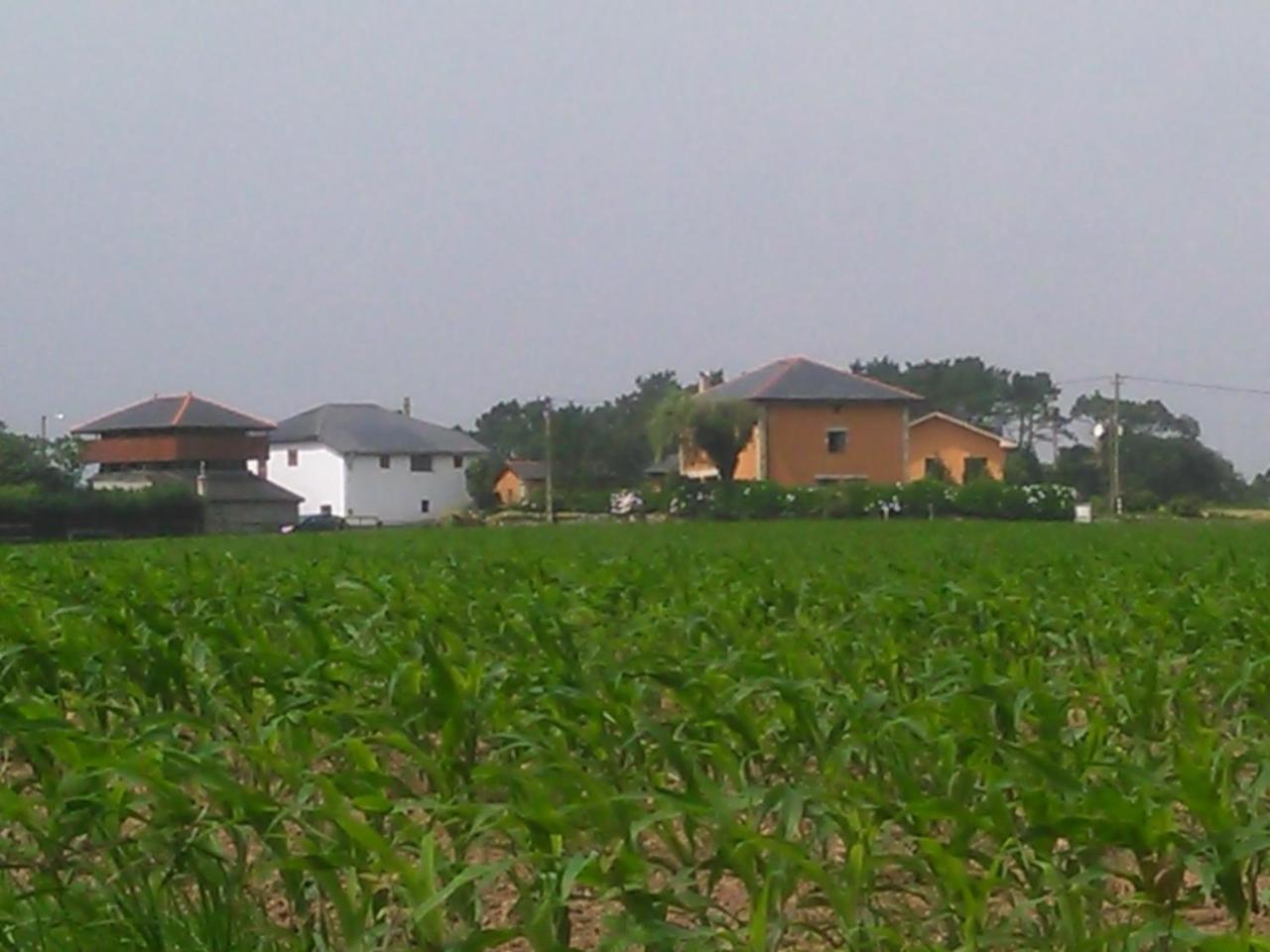 Las Golondrinas Casiellas Esterno foto